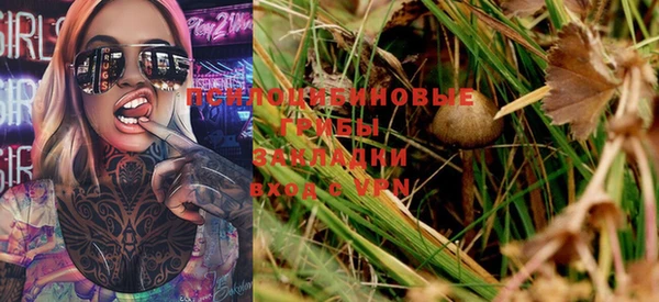 экстази Бородино