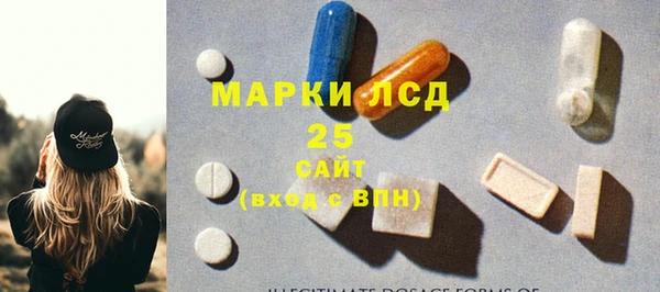 экстази Бородино