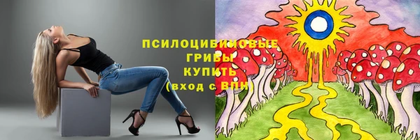 экстази Бородино
